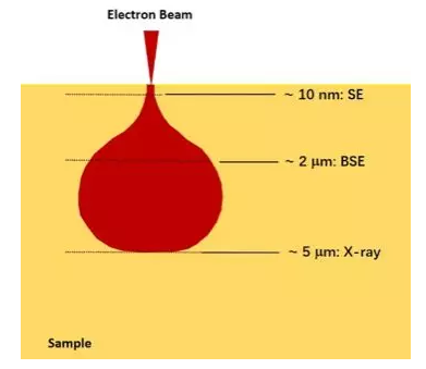 扫描电镜（SEM）分析样品表面的深度是多少